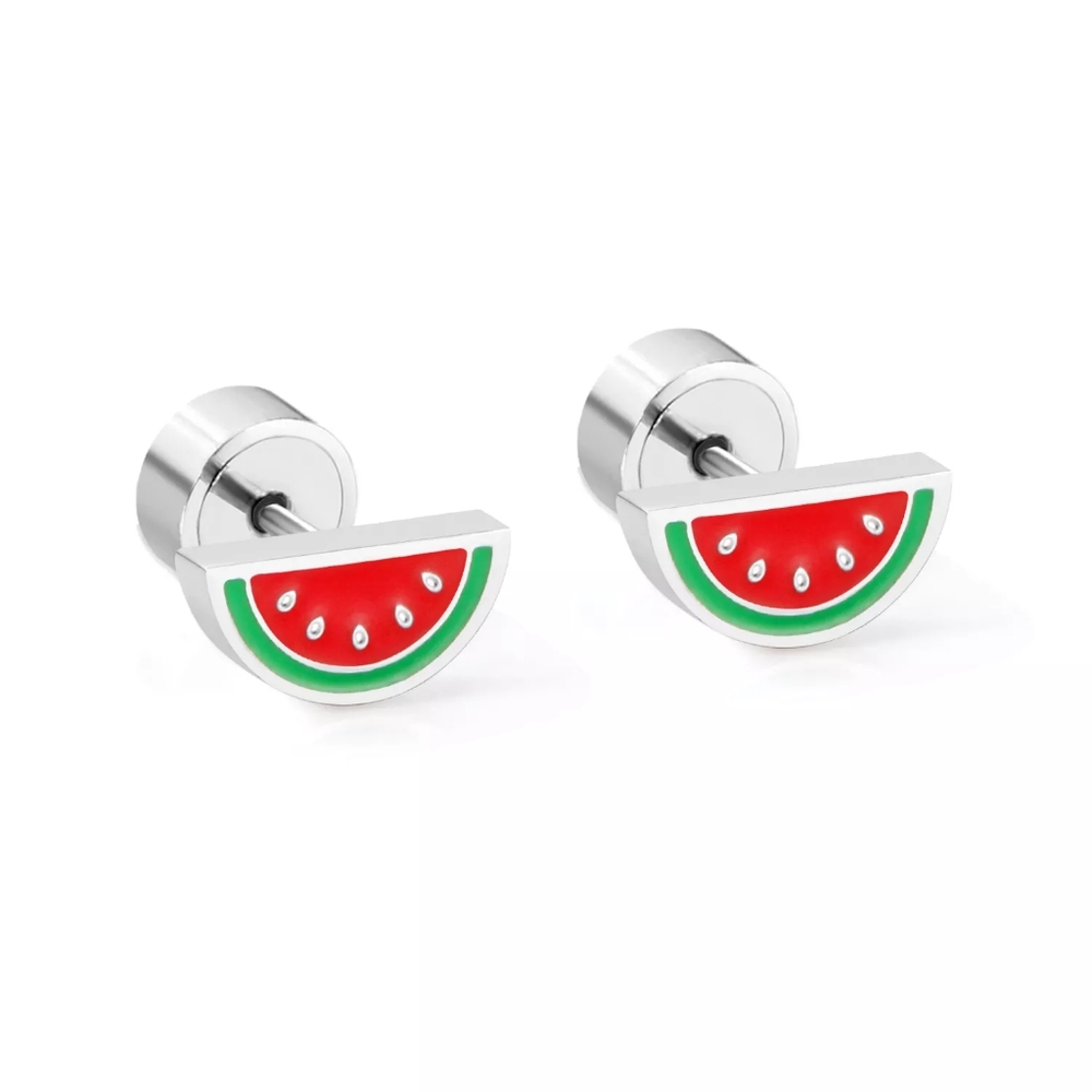 Watermelon Slice Stainless Steel Stud Earrings